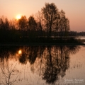 014_Biebrza - kwiecien 2010